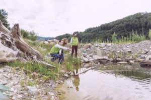 Image from MeinAlpenStrom